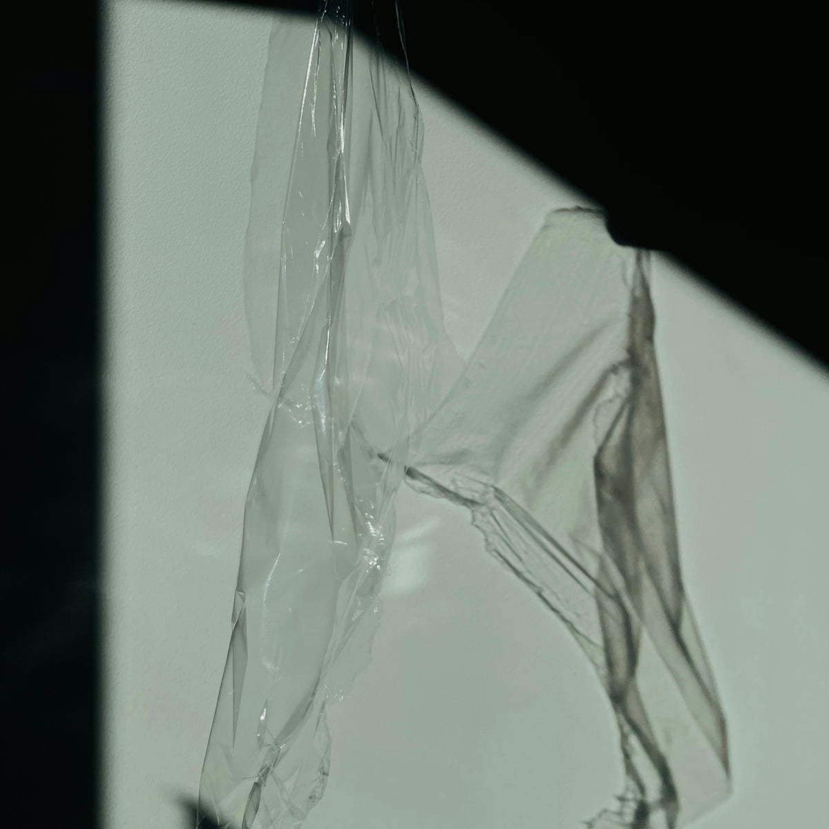 a clear plastic bag hanging from a hook