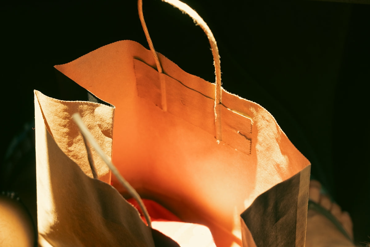 Empty paper shopping bag with handles